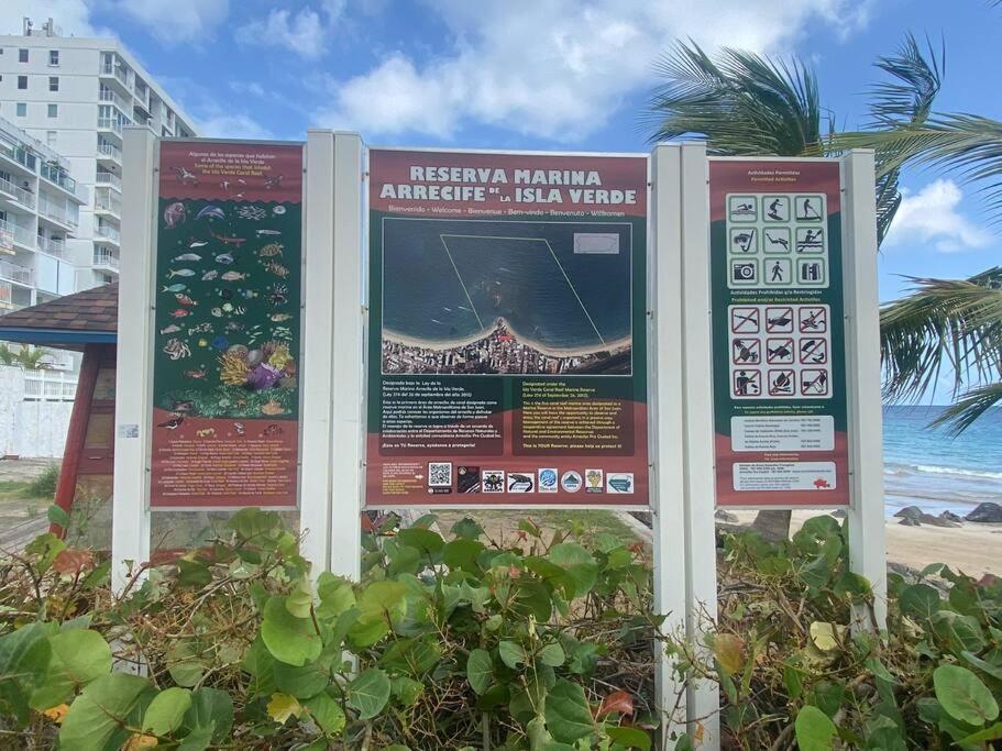 Dalia Lovers By Sea Rentals サンジョアン エクステリア 写真