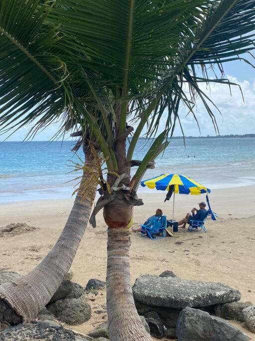 Dalia Lovers By Sea Rentals サンジョアン エクステリア 写真